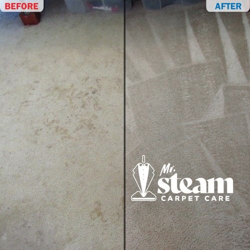 Carpet Cleaning in Pleasant View Before After 2