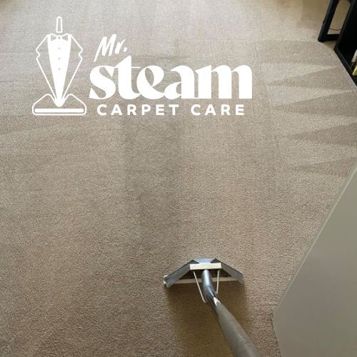 Carpet Cleaning in Taylor Before After