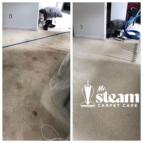 Carpet Cleaning in West Haven Before After