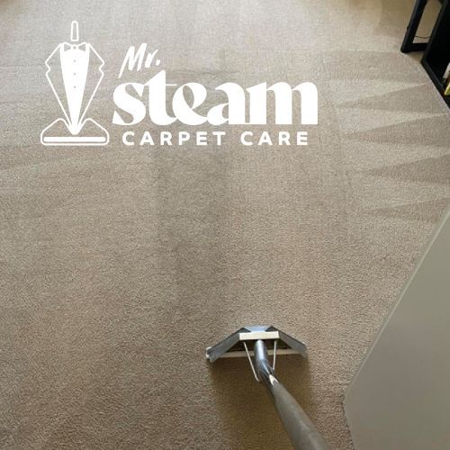 Carpet Cleaning in West Weber Before After