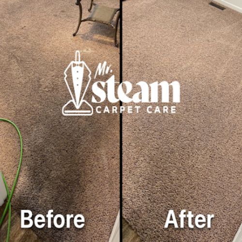 Upholstery Cleaning Results
