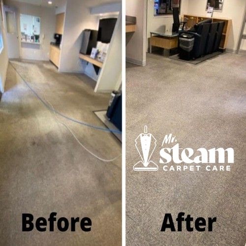 Carpet Cleaning in Pleasant View Before After 1