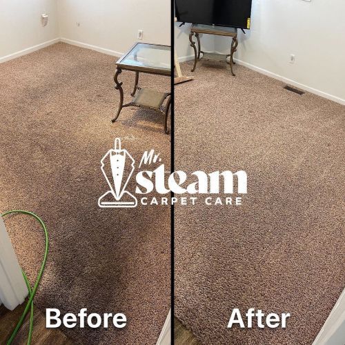 Upholstery Cleaning Results