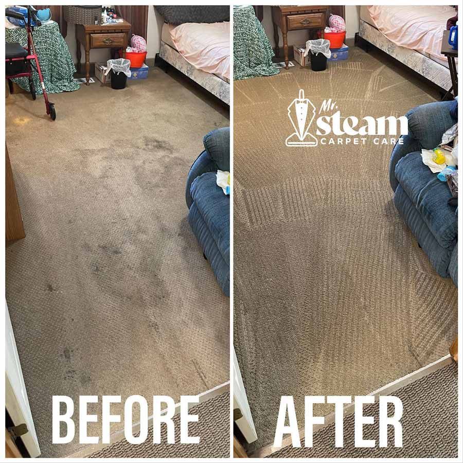 Carpet Cleaning in North Ogden Before After 1