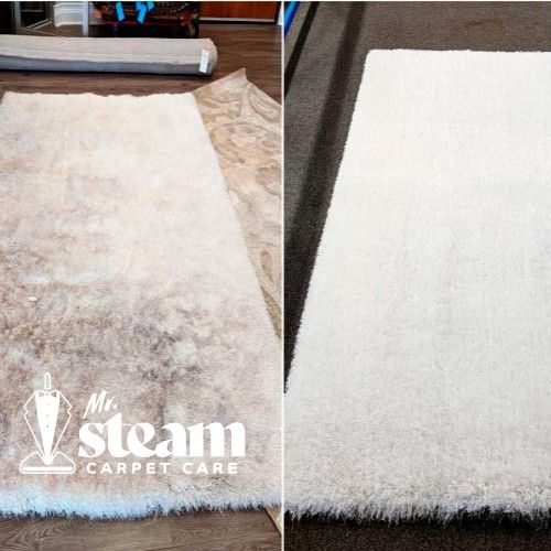 Carpet Cleaning in Hooper Before After