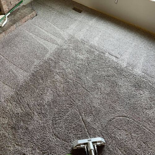 Upholstery Cleaning Results