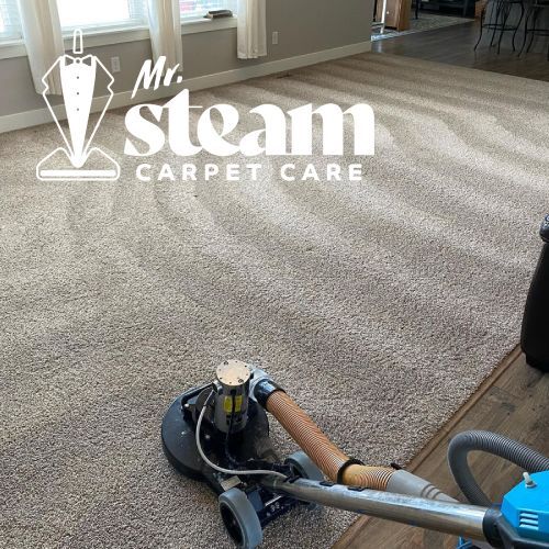 Carpet Cleaning in South Ogden Before After 1