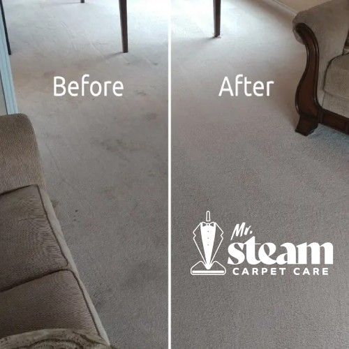 Carpet Cleaning in South Ogden Before After 2