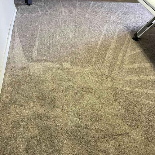 Carpet Cleaning Service