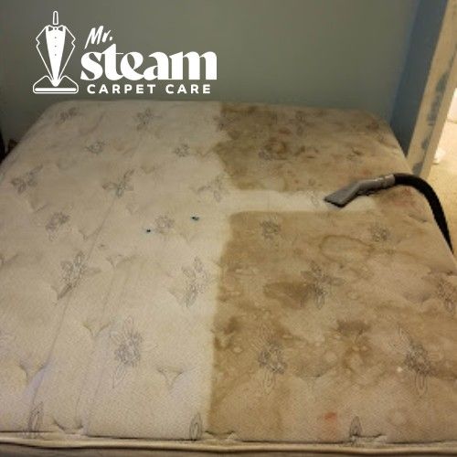 Carpet Cleaning in Riverdale Before After