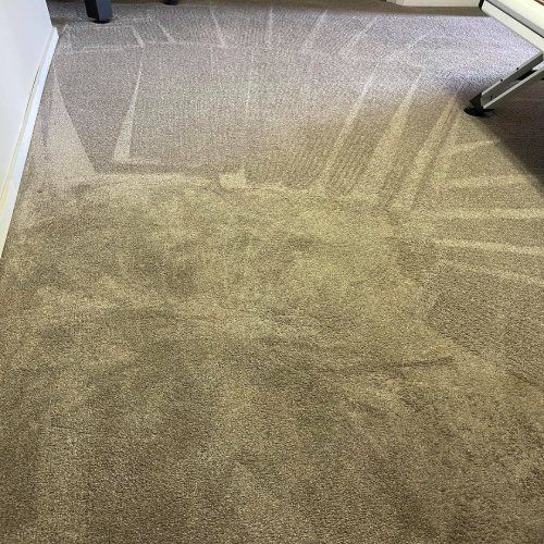 Upholstery Cleaning Results