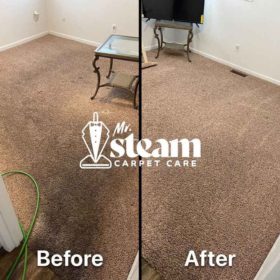 Carpet Cleaning in North Ogden Before After