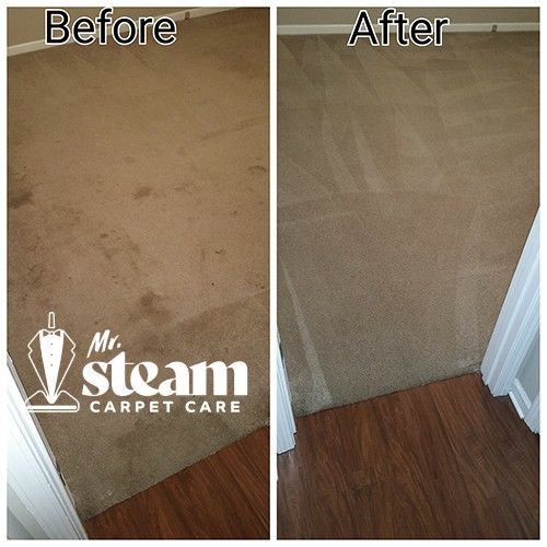 Carpet Cleaning in Riverdale Before After 1